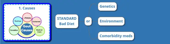 1. Gout Causes